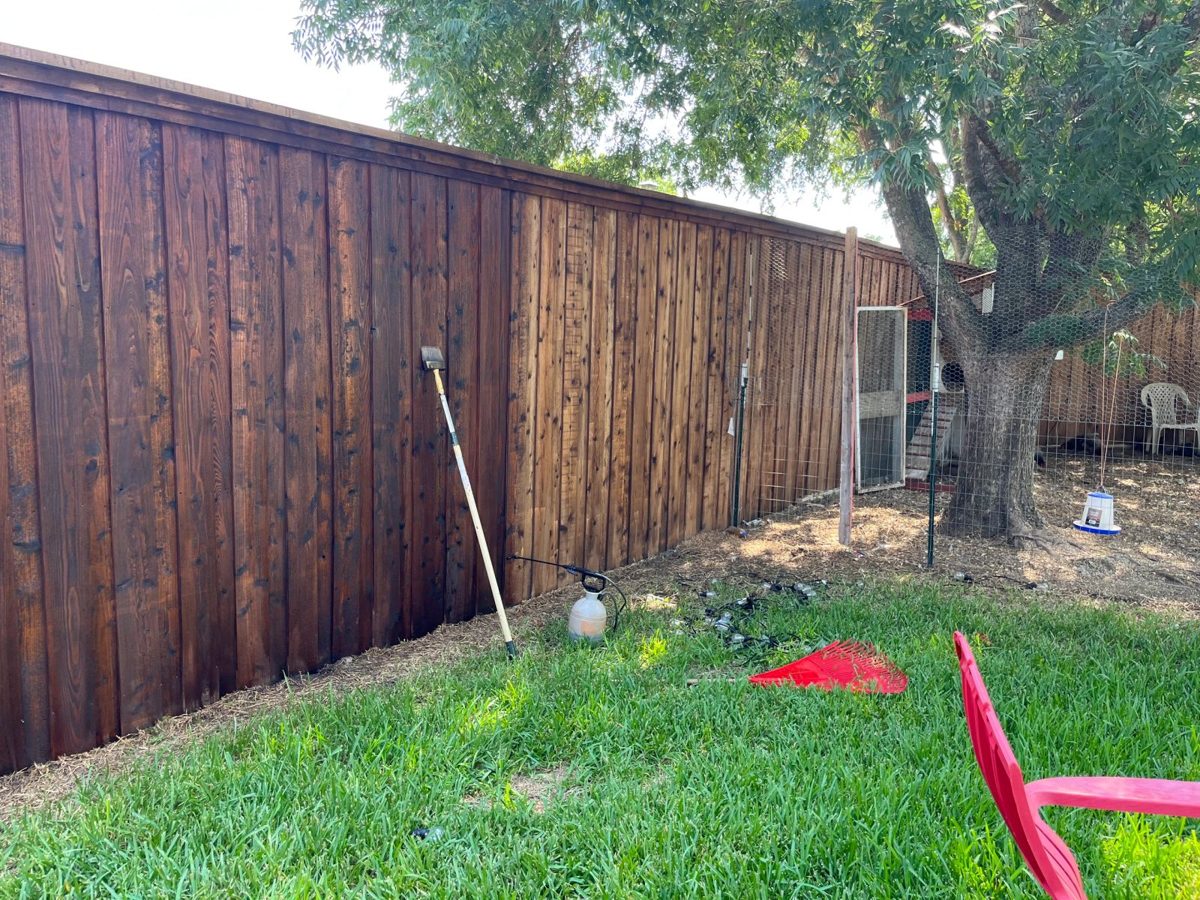 Fence being stained